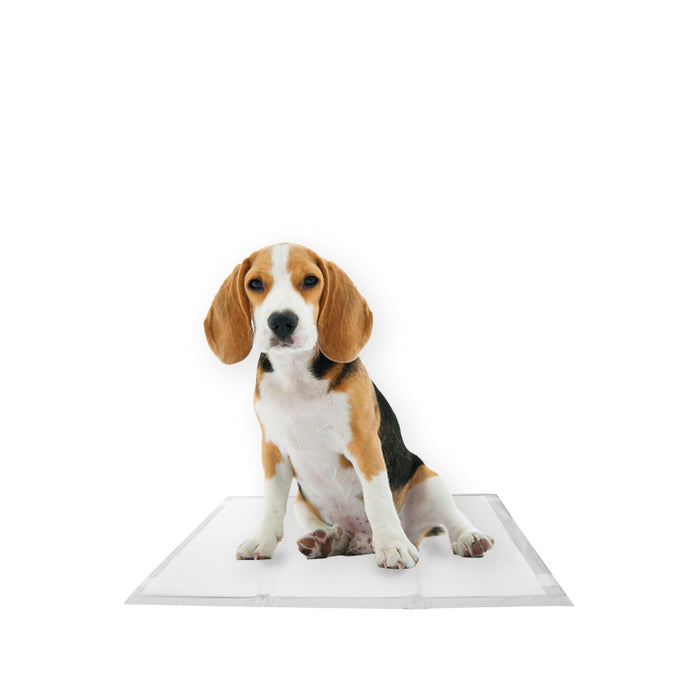 Hygiene mats for pets 60x60 cm.