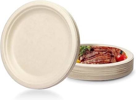 Disposable white biodegradable flat plates, Ø 23cm